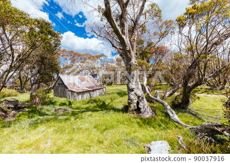 Wallace Hut near Falls Creek in Australia Wallace Hut near Falls Creek in Australia 90037916