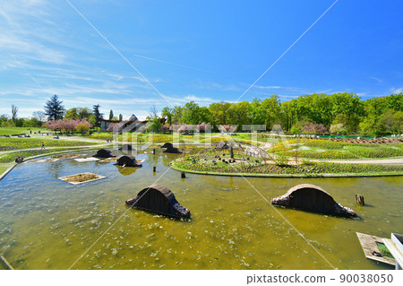 法國。巴黎花卉公園的一個池塘。拍攝於 2022 年 4 月 17 日。 法國。巴黎花卉公園的一個池塘。拍攝於 2022 年 4 月 17 日。 90038050