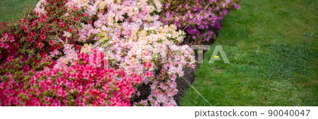 Garden with blooming trees during spring time 90040047