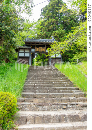 Dainenji Somon, a cultural property designated by Sendai City, Fresh Green Spring 90040137