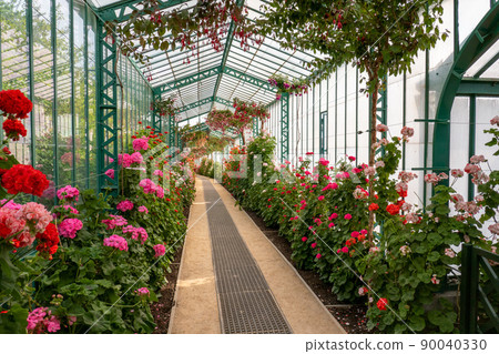 Belgium, Brussels, Royal greenhouses of Laeken, royal castle of Laeken Belgium, Brussels, Royal greenhouses of Laeken, royal castle of Laeken 90040330