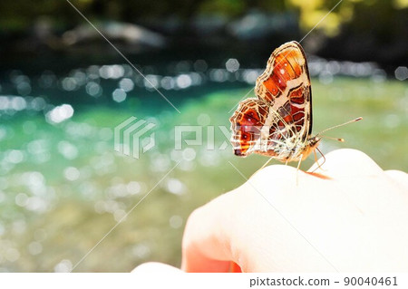 Orange Sakahachicho riding in the hands of a woman in the Kikuchi Gorge Orange Sakahachicho riding in the hands of a woman in the Kikuchi Gorge 90040461
