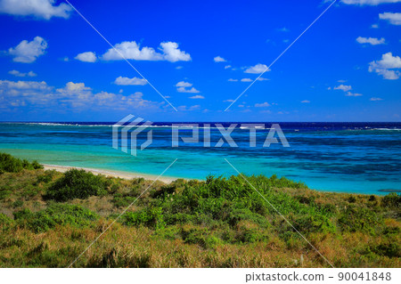 石垣島平久保半島生態路 石垣島平久保半島生態路 90041848