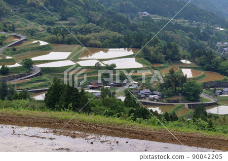 Rice terraces in Nurui, paddy fields filled with water (Tosa Town, Kochi Prefecture) Rice terraces in Nurui, paddy fields filled with water (Tosa Town, Kochi Prefecture) 90042205