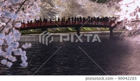 盛開的櫻花和春陽橋（弘前櫻花節） 90042283
