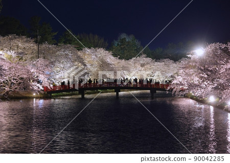 盛開的櫻花和春陽橋（弘前櫻花節） 90042285