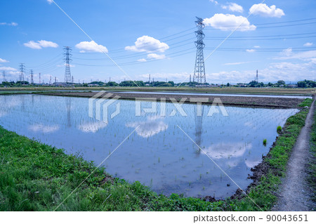Rural scenery and steel tower agriculture and rice cultivation scenery in Sakado City, Saitama Prefecture Rural scenery and steel tower agriculture and rice cultivation scenery in Sakado City, Saitama Prefecture 90043651