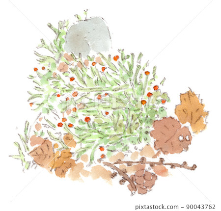 Lichen, core moss. (The one that looks red like a flower is a child) Watercolor illustration 90043762