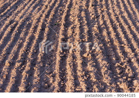 Plowed land of the dry field at sunset. 90044185