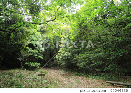 Sasaguri Kyudai no Mori Konara Square [Sasaguri Town, Fukuoka Prefecture] 90044586