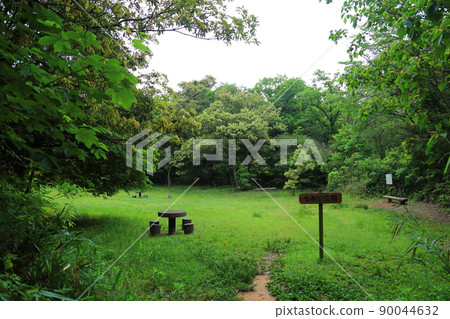 Sasaguri Kyudai no Mori Momiji Square [Sasaguri Town, Fukuoka Prefecture] 90044632