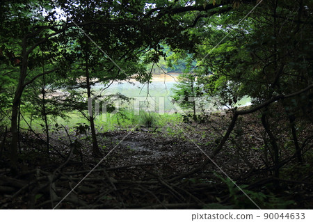 Sasaguri Kyudai no Mori [Sasaguri Town, Fukuoka Prefecture] 90044633