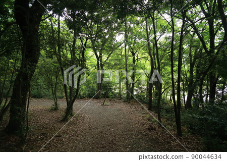 Sasaguri Kyudai no Mori [Sasaguri Town, Fukuoka Prefecture] 90044634