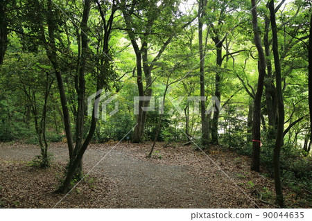 Sasaguri Kyudai no Mori [Sasaguri Town, Fukuoka Prefecture] 90044635