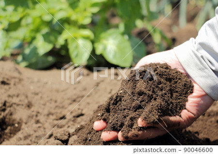 Field soil 90046600