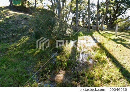 Kururi Castle Otamaga Pond 90046986