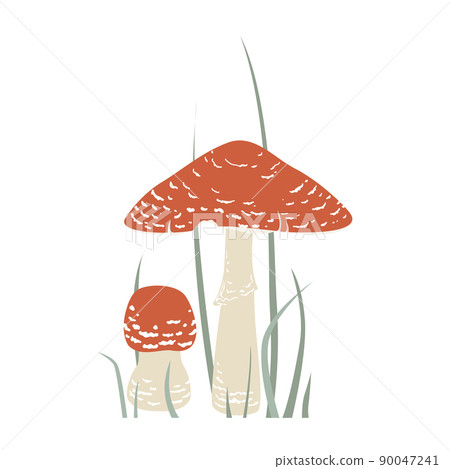 Two fly agaric in the grass, forest poisonous mushroom. Cartoon vector illustration 90047241