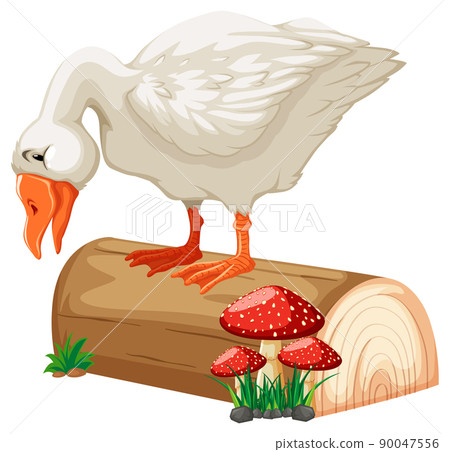 White duck standing on log 90047556