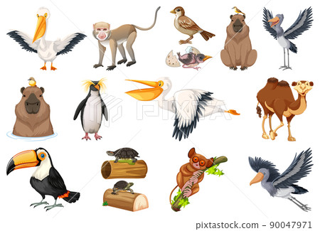 Different kinds of animals collection Different kinds of animals collection 90047971