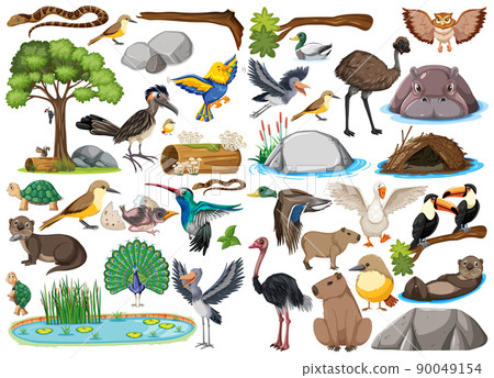 Different kinds of wild animals collection Different kinds of wild animals collection 90049154