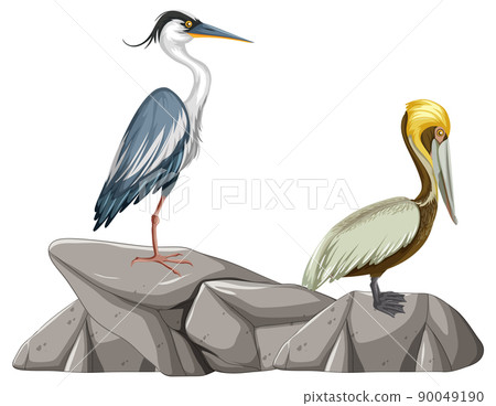 Two birds standing on the rock Two birds standing on the rock 90049190