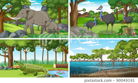 Scenes with wild animals in forest Scenes with wild animals in forest 90049191