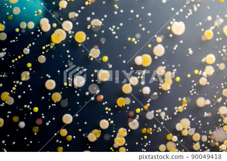 Backgrounds of Characteristics and Different shaped Colony of Bacteria and Mold growing on agar plates from Soil samples for education in Microbiology laboratory. 90049418