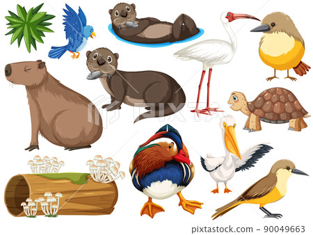 Different kinds of wild animals collection 90049663