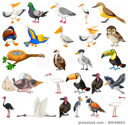 Different kinds of birds collection 90049664