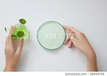 Top view of gotu kola decorated in petri dish and beaker with hand model in white background Top view of gotu kola decorated in petri dish and beaker with hand model in white background 90049706