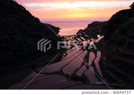 Rice terraces in Hamanoura "100 selections of rice terraces in Japan" [Genkai Town, Saga Prefecture] 90049737
