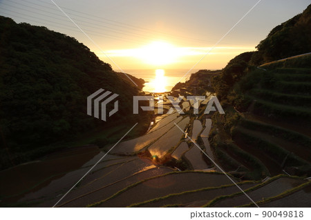 Rice terraces in Hamanoura "100 selections of rice terraces in Japan" [Genkai Town, Saga Prefecture] 90049818