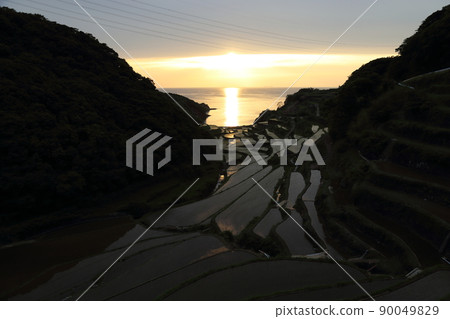 Rice terraces in Hamanoura "100 selections of rice terraces in Japan" [Genkai Town, Saga Prefecture] 90049829