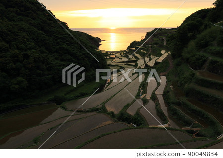 Rice terraces in Hamanoura "100 selections of rice terraces in Japan" [Genkai Town, Saga Prefecture] 90049834