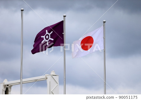 Image of Japanese flag and Tokyo flag Image of Japanese flag and Tokyo flag 90051175