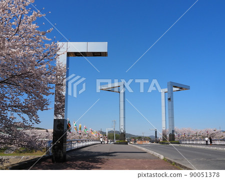 Cherry blossoms are in full bloom around the "Sakura Bridge" on the Tabuse River 90051378