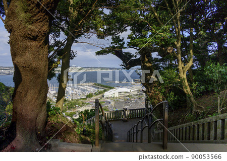 從江之島神社看遊艇港的風景 90053566