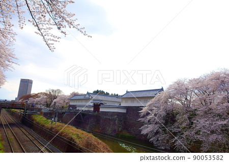 Sakura Sakura Sakura Kajo 公園 Sakura Sakura Sakura Kajo 公園 90053582