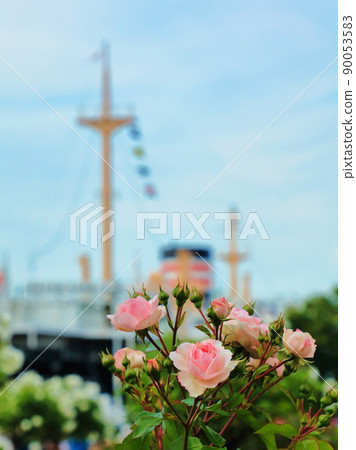 玫瑰和豪華班輪 90053583