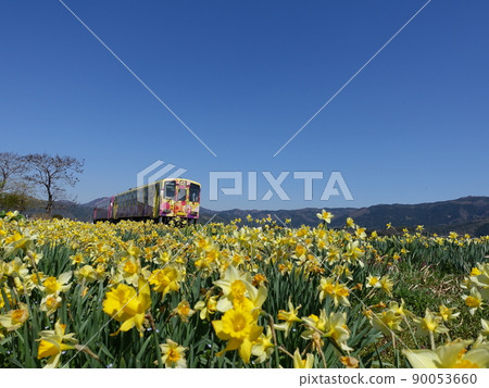 Local line and narcissus narcissus narcissus 90053660