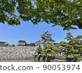 Toyama Castle in early summer 90053974