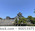 Toyama castle 90053975