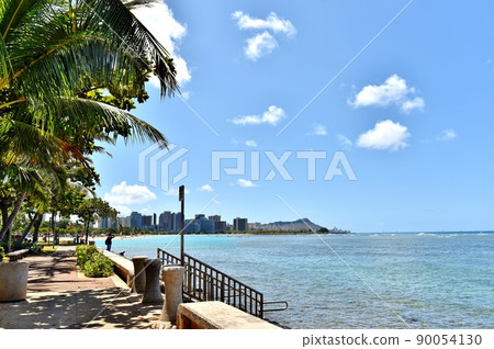 夏威夷的假期 夏威夷的假期 90054130