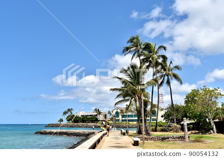 Holidays in Hawaii 90054132