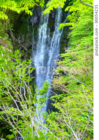 大瀧鮮綠胜山市 大瀧鮮綠胜山市 90054235