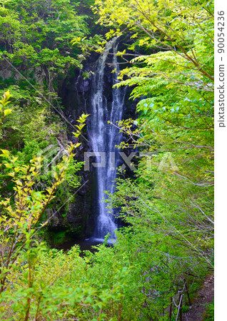 大瀧鮮綠胜山市 大瀧鮮綠胜山市 90054236