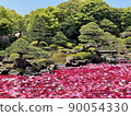 A pond in a Japanese garden where many peonies float [Yushien] 90054330