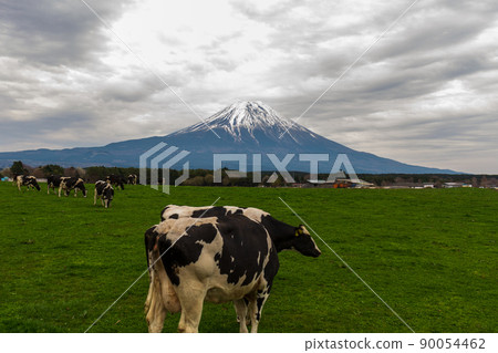 富士山風景和靜岡縣富士吉田市腳下的牧場 富士山風景和靜岡縣富士吉田市腳下的牧場 90054462