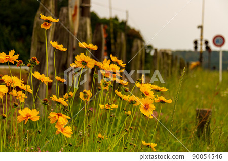 Ichinomiya, Mori-cho, Shuchi-gun, Shizuoka Prefecture Scenery around Tenryu Hamanako Railway and Ichinomiya Station 90054546