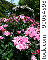 Roses of the Kamakura literature hall 90054598